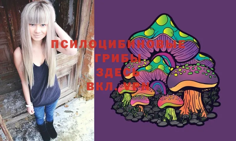 Галлюциногенные грибы MAGIC MUSHROOMS  Бузулук 